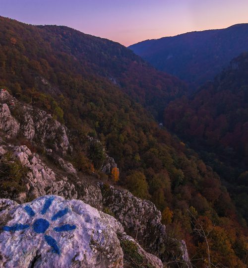 Belvedere-Peretelui-Zanelor