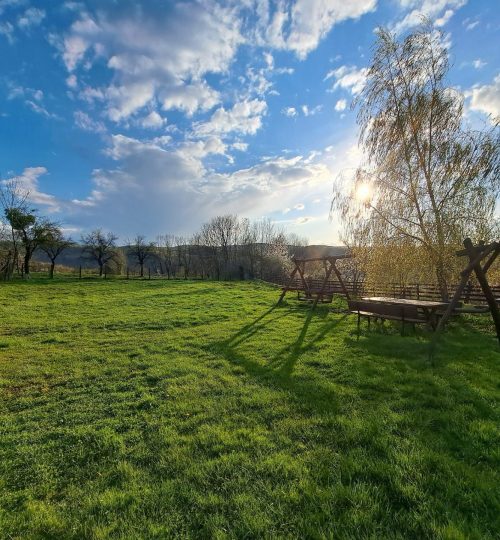 Pensiune turistica Retreat Belvedere Vadu Crisului gradina
