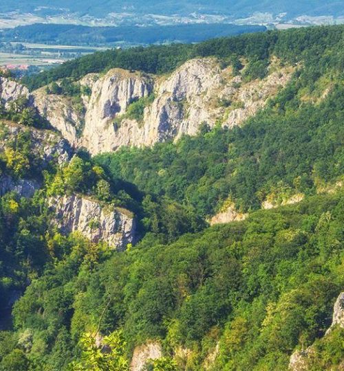 Vedere-spre-Defileul-Crișului-Repede
