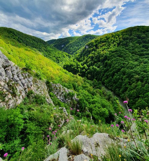 Via-Ferrata-Vadu-Crisului-primavara