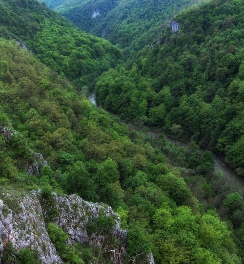 Zona-turistică-Vadu-Crișului-–șuncuiuș
