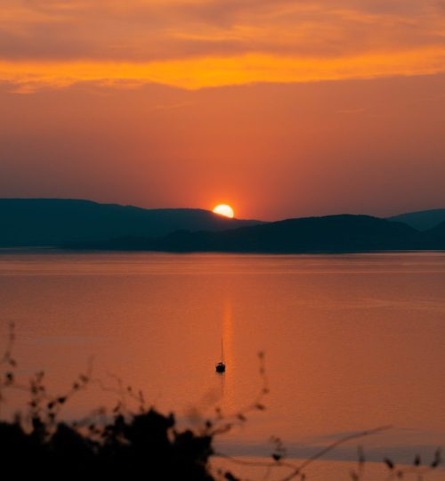 pexels-vékony-richard-7181467